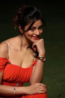 Shilpi Sharma Spicy Photos